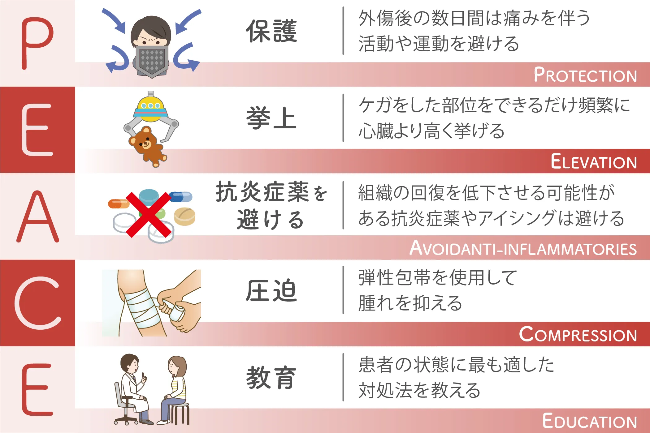 筋 を 痛め た 時 の 治し 方